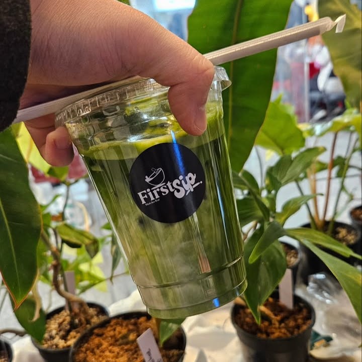 A hand holding the signature Matcha Latte, served with ice, by the top of the plastic cup along with a straw. In the background, there are plotted plants with large green leaves.