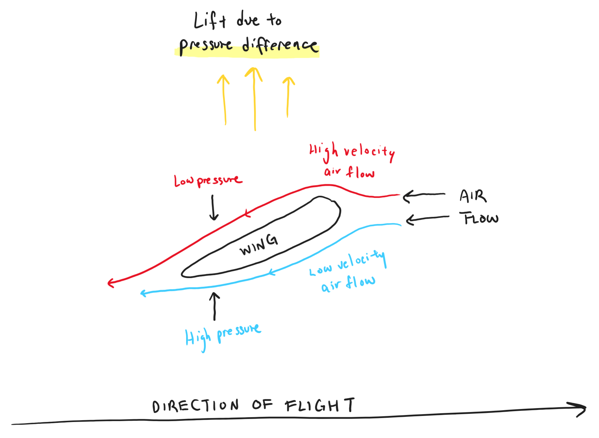 A diagram of a wing and the flow of air when in flight.